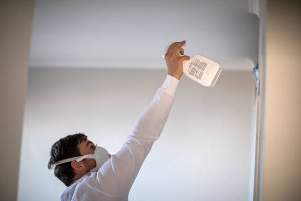 Certified Mold Removal in Glen Alpine, NC