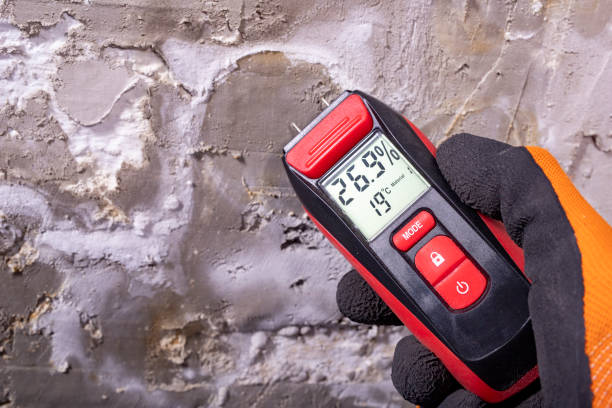 Best Attic Mold Removal  in Glen Alpine, NC