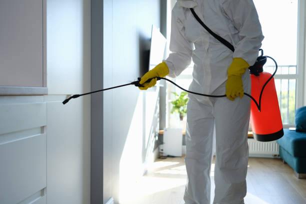 Best Crawl Space Mold Removal  in Glen Alpine, NC